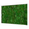 Mechový obraz z kopečkového mechu 100x60