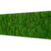Mechový obraz z kopečkového mechu 140x40