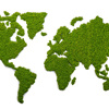 Mapa světa z Islandského mechu  velikost 230x135 - Leaf green
