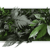 Rostlinný obraz s designem Džungle 57x27